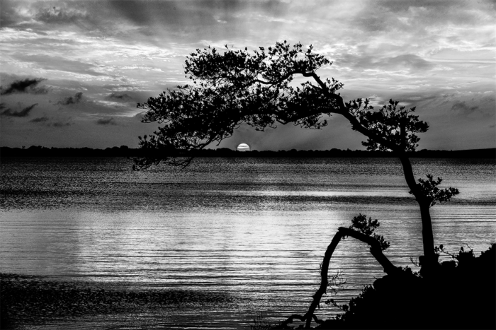 Arc of Light B&W