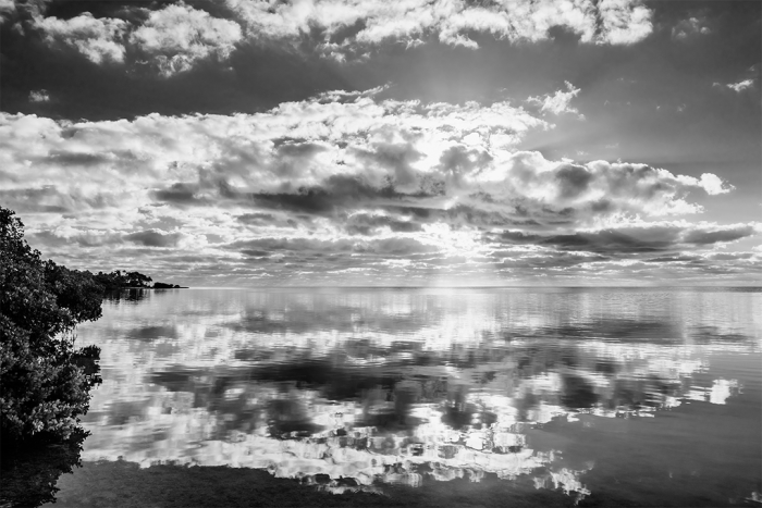 Arctic Illusion B&W