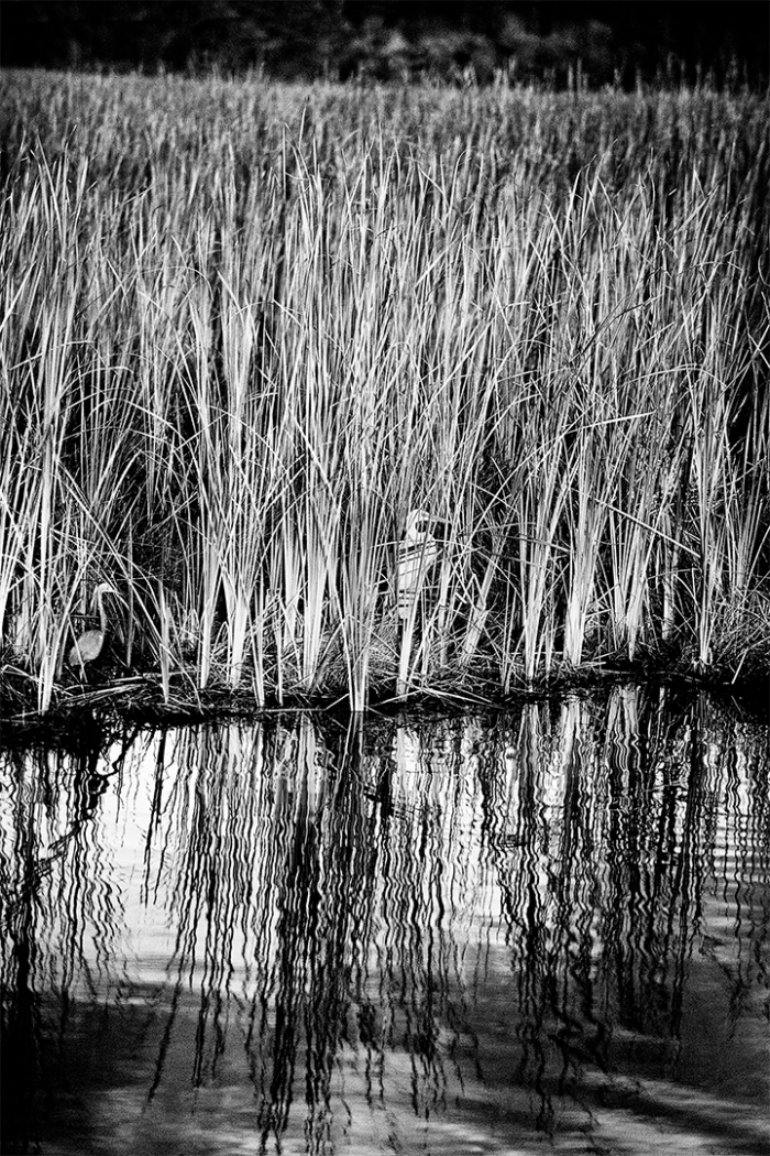 At River’s Edge 2 B&W