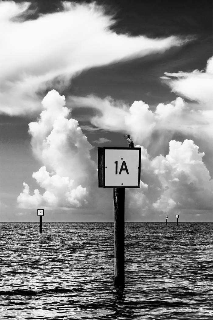 Beyond the Shallows V B&W