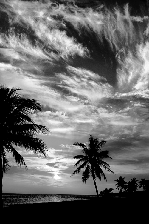 Dramatic Ending B&W