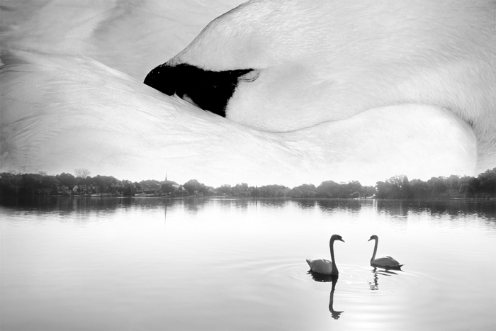 Dream Encounter B&W