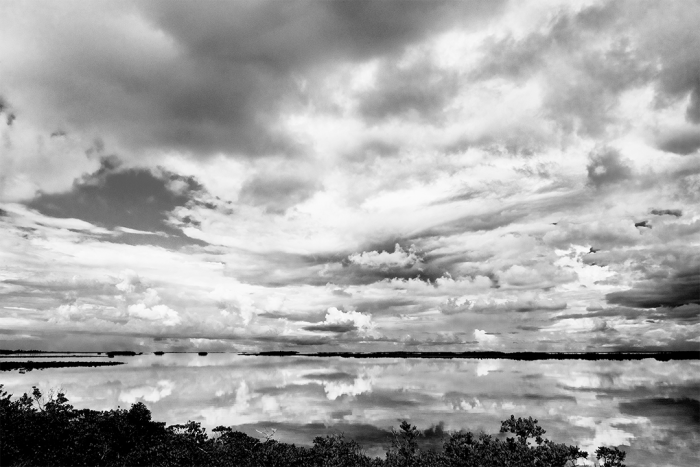 Drifting into Dreams B&W