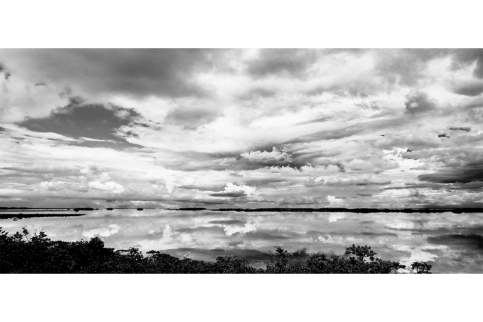 Drifting into Dreams B&W - Image 2