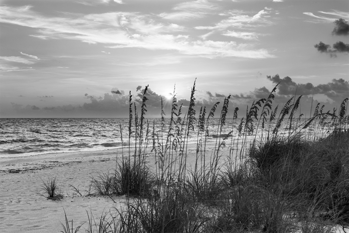 Echoes on the Shore – B&W