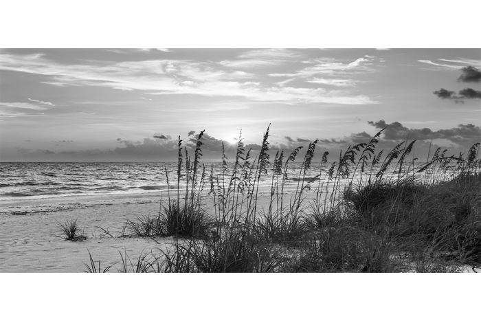 Echoes on the Shore – B&W - Image 2