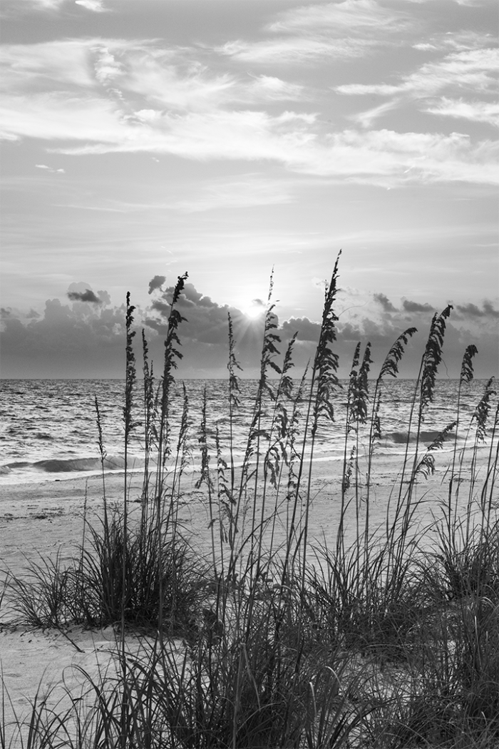 Echoes on the Shore V – B&W
