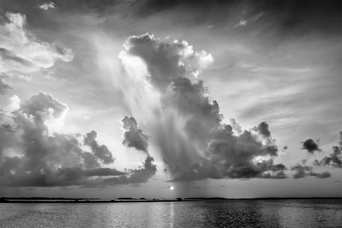 Empowered by the Light B&W