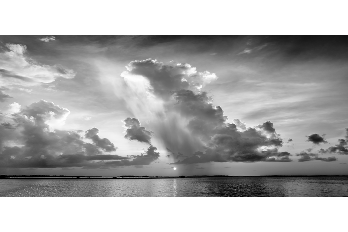 Empowered by the Light B&W - Image 2