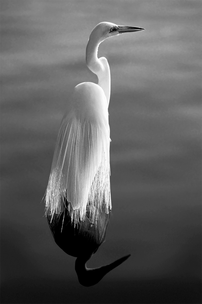 First Light B&W