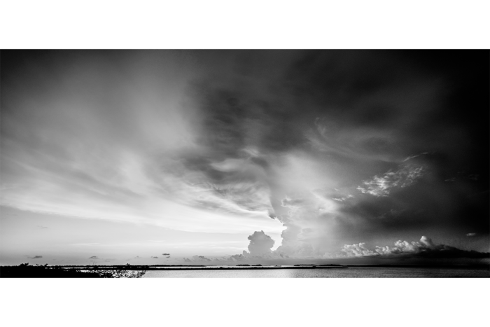 Gateway of Light B&W - Image 2