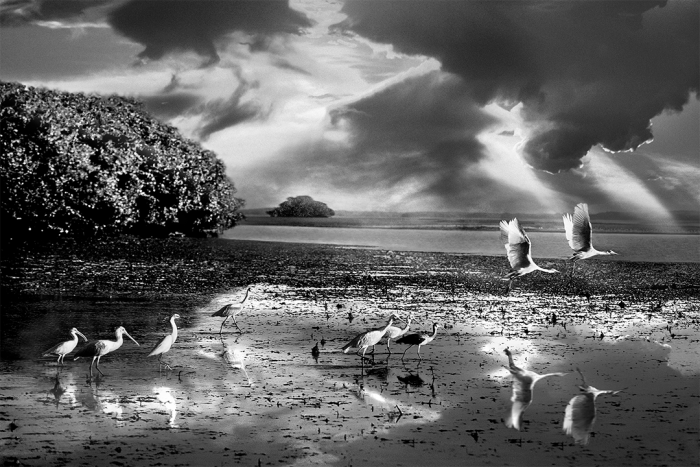 Guiding Light B&W