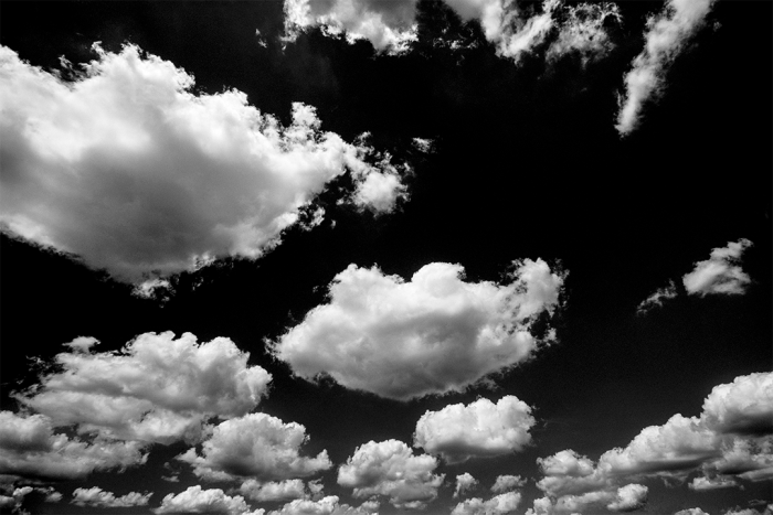 Heavenly Whispers B&W
