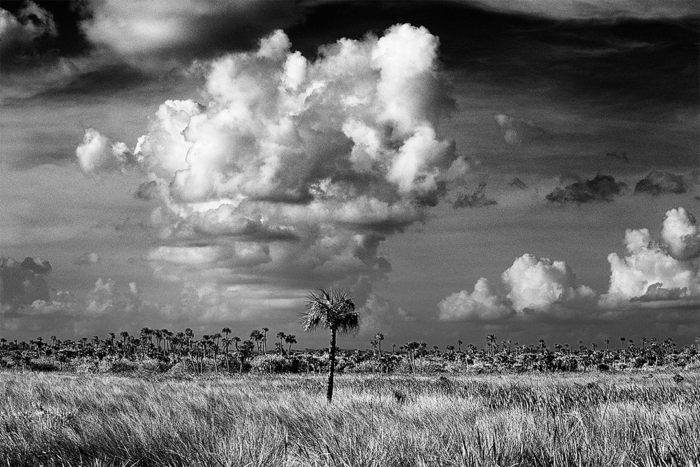 I Stand Alone B&W