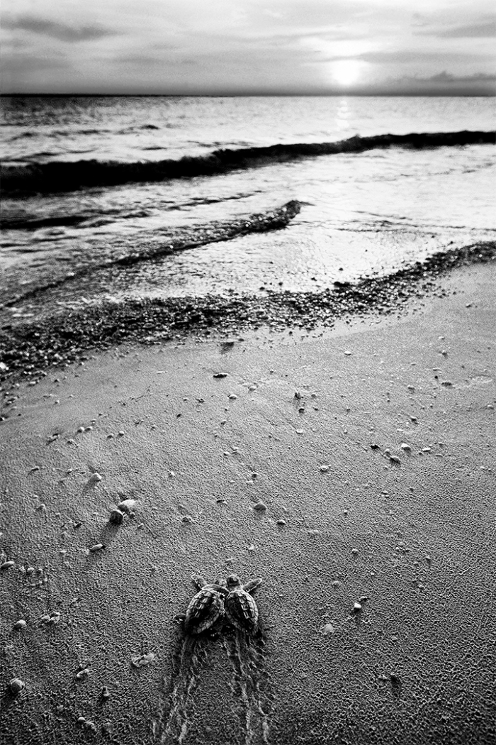 In Light of the Journey B&W