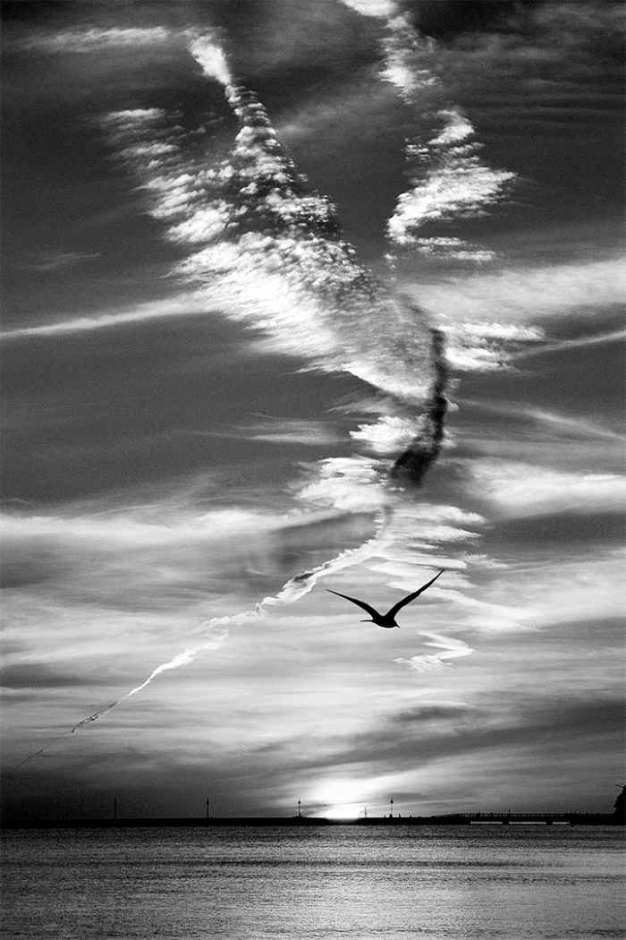 In-Spirit B&W