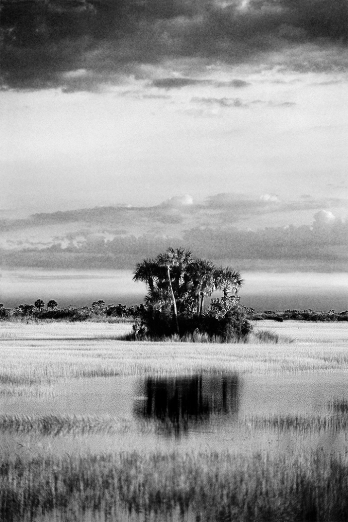 In Violet Light B&W