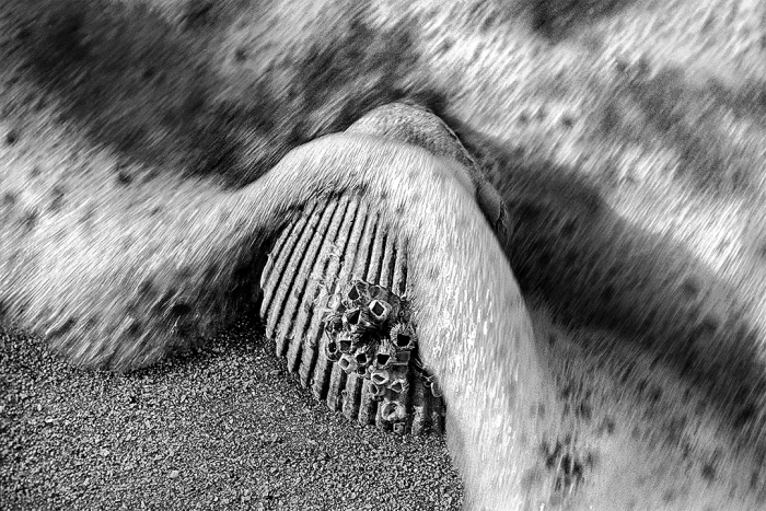 In the Flow B&W