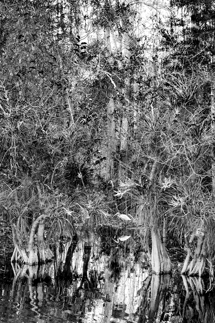 Keeper of the Gate V B&W