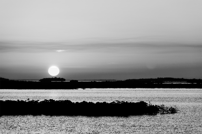 Last Moment B&W