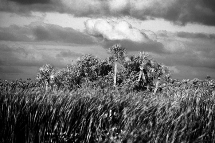 Layers of Tranquility B&W