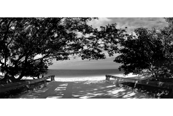 Lovers Key B&W - Image 2