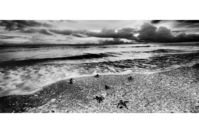 Maiden Voyage B&W - Image 2