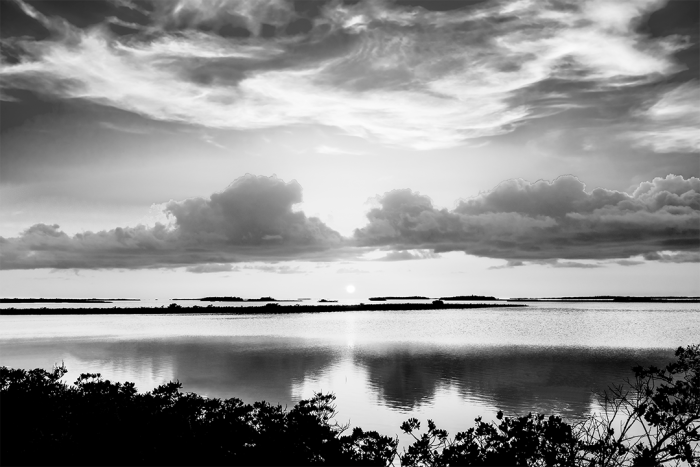 Moment of Reflection B&W
