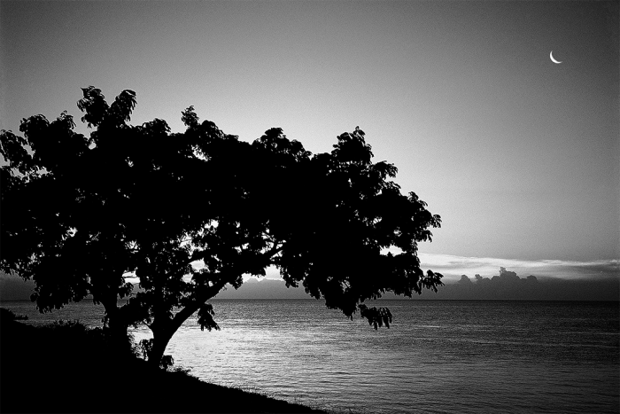 Moonlight Cove B&W
