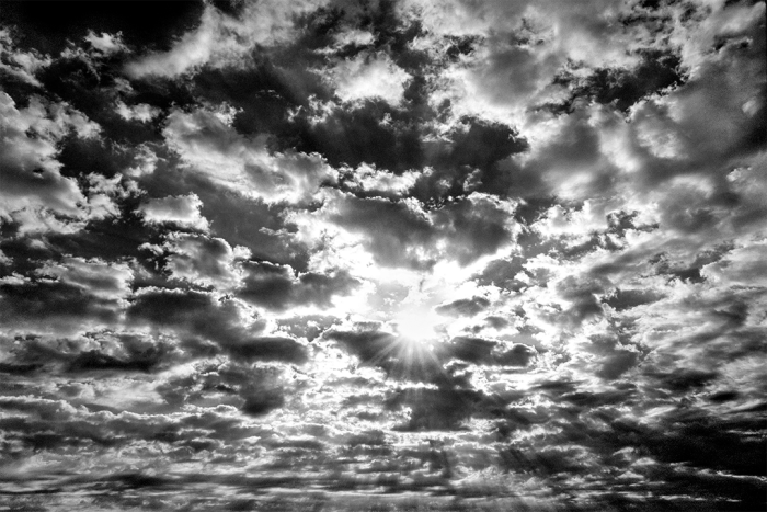 Natures Mosaic B&W