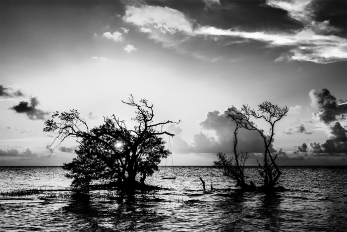 Nature’s Playground B&W