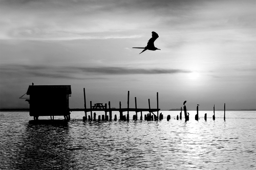 Nirvana in the Rough B&W