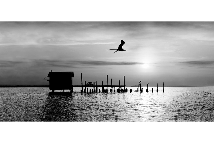 Nirvana in the Rough B&W - Image 2
