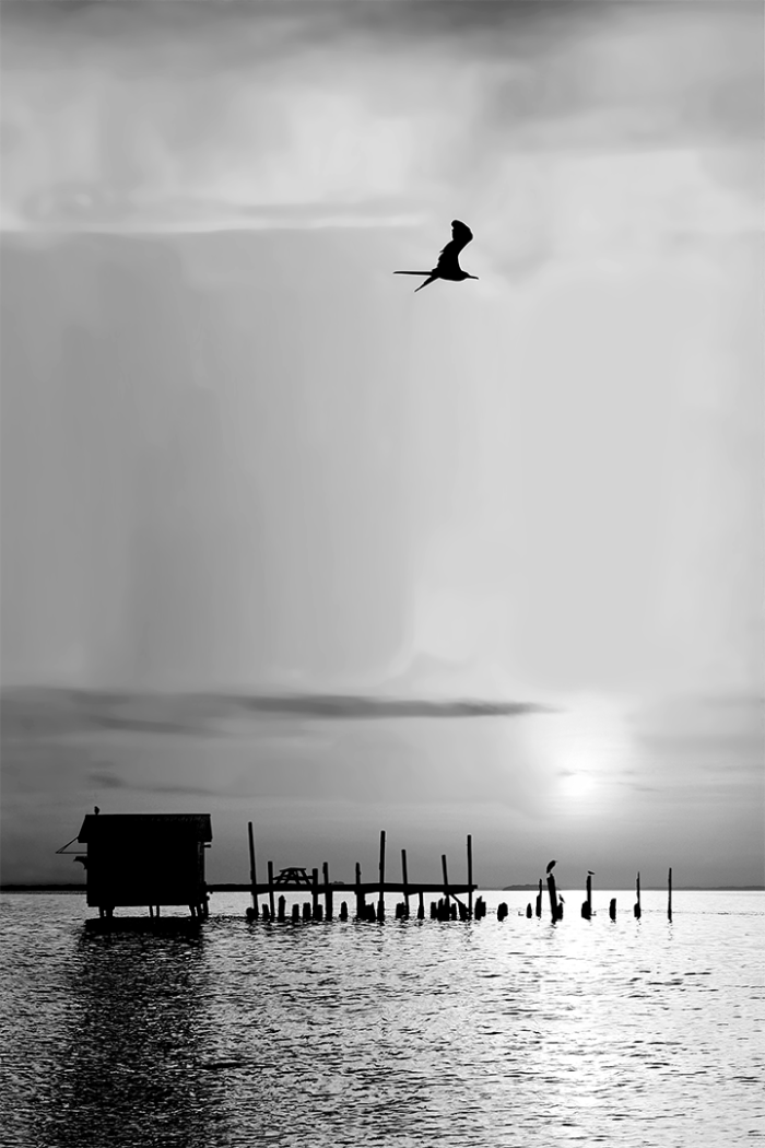Nirvana in the Rough V – B&W