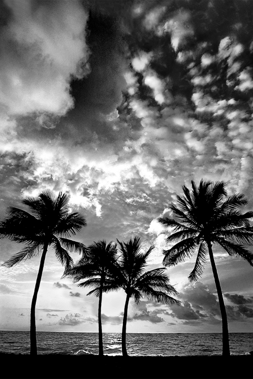 One Sunday Morning B&W