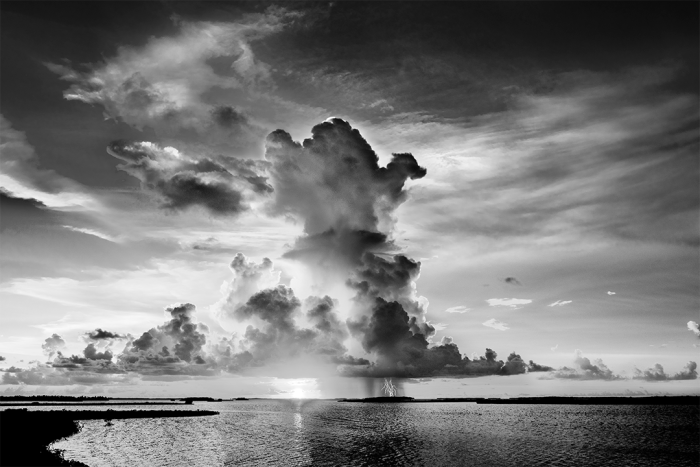 Opposing Forces B&W