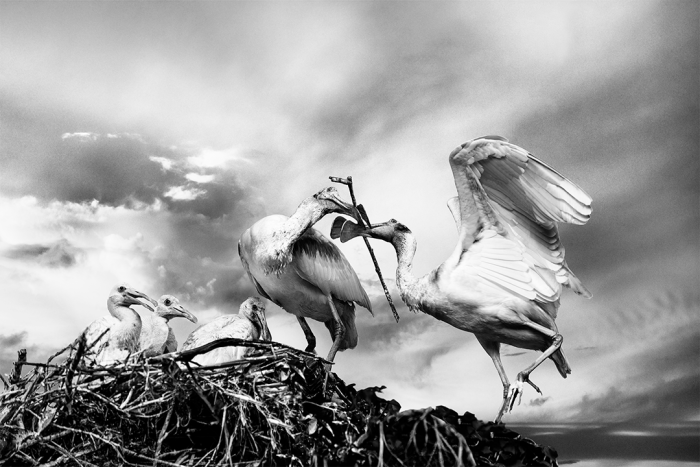 Our Home B&W