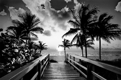 Pathway to Paradise B&W