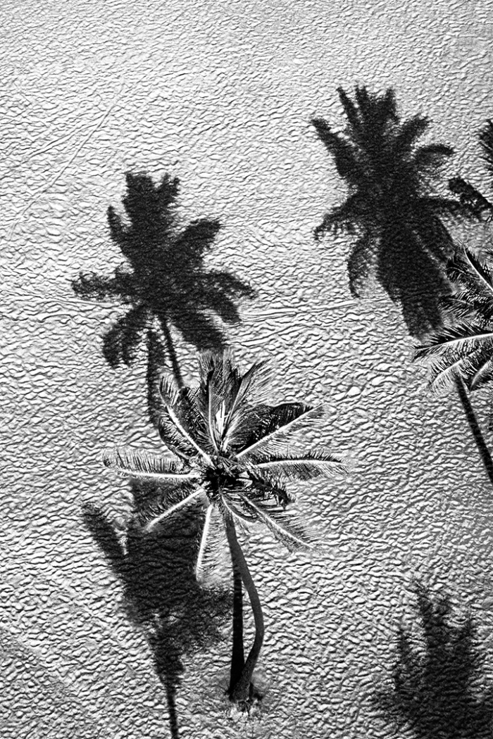 Patterns B&W