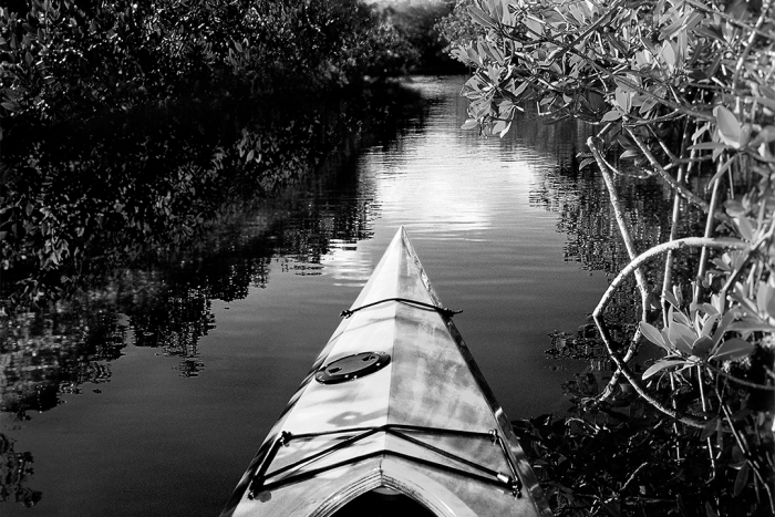 Point of View B&W