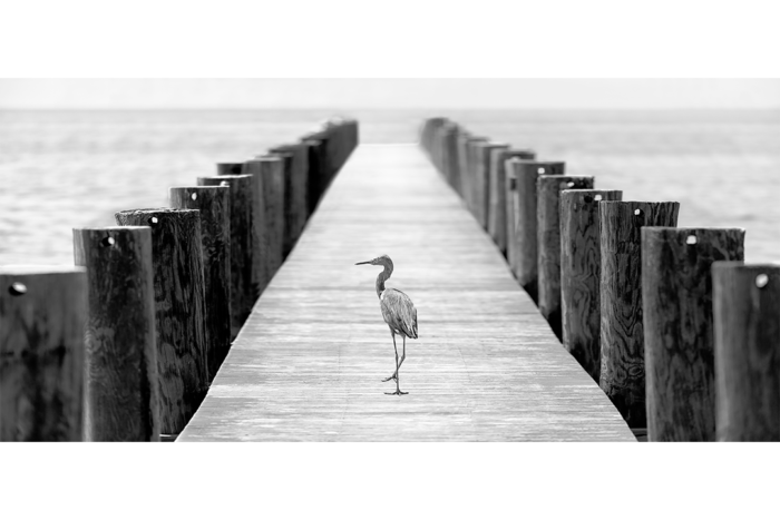 Road Less Traveled B&W - Image 2