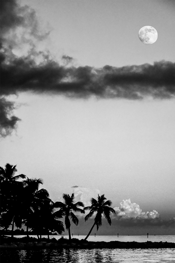 Romancing the Moon B&W