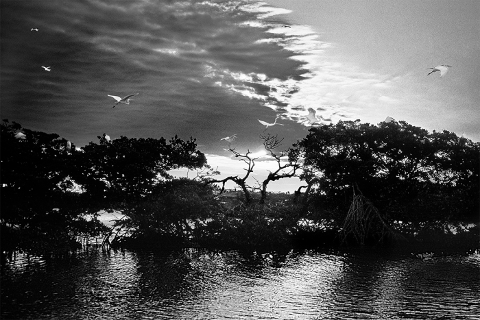Sanctuary of Light B&W