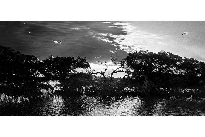 Sanctuary of Light B&W - Image 2