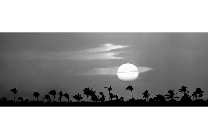 Saturn Sun B&W - Image 2