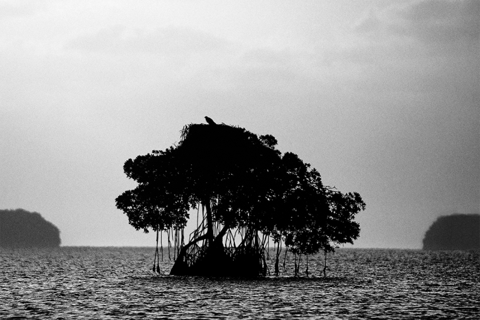 Sculpted by Nature B&W