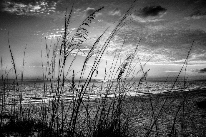 Sea of Dreams B&W