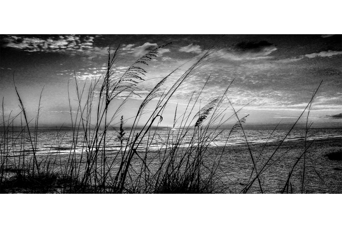 Sea of Dreams B&W - Image 2