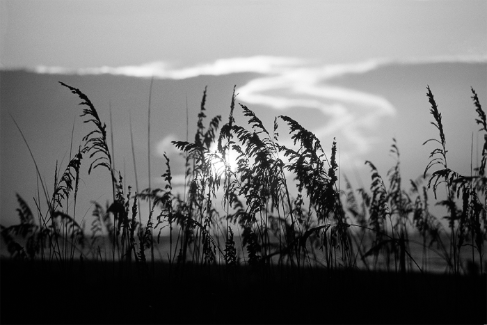 Seaside Silhouette 4 B&W