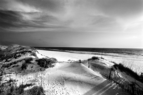 Serenity B&W